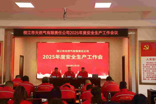 攜手共筑安全防線，共創安全生產新篇章——2025年度安全生產工作會議圓滿召開